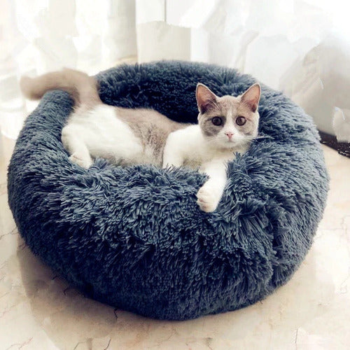 Cat Bed